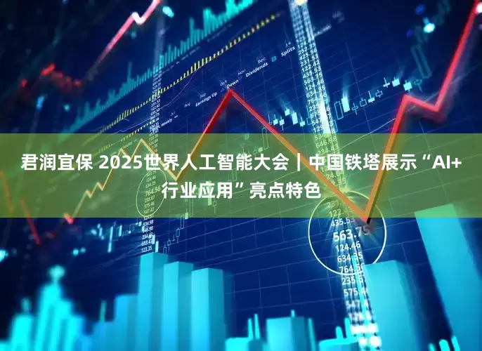 君润宜保 2025世界人工智能大会｜中国铁塔展示“AI+行业应用”亮点特色