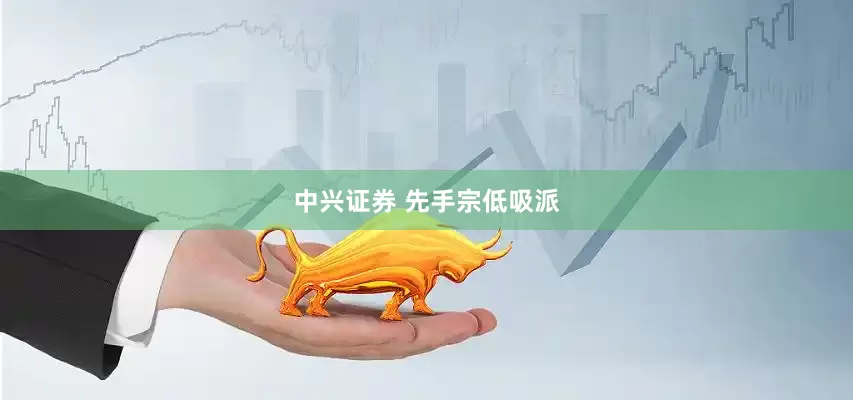 中兴证券 先手宗低吸派