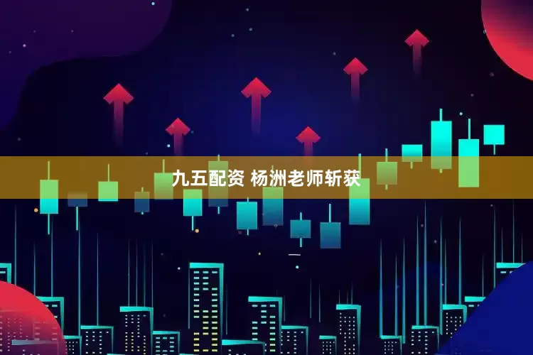 九五配资 杨洲老师斩获