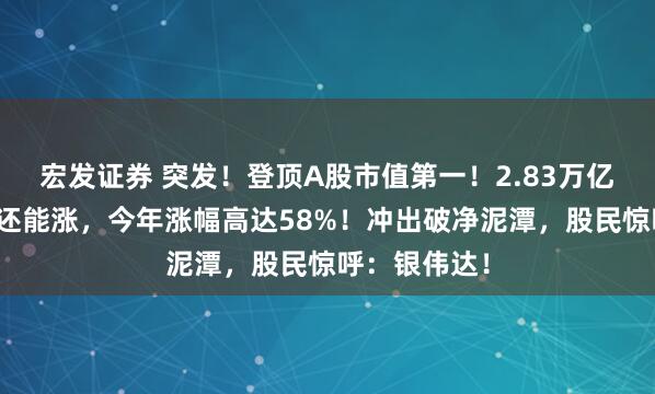 宏发证券 突发！登顶A股市值第一！2.83万亿巨头比黄金还能涨，今年涨幅高达58%！冲出破净泥潭，股民惊呼：银伟达！