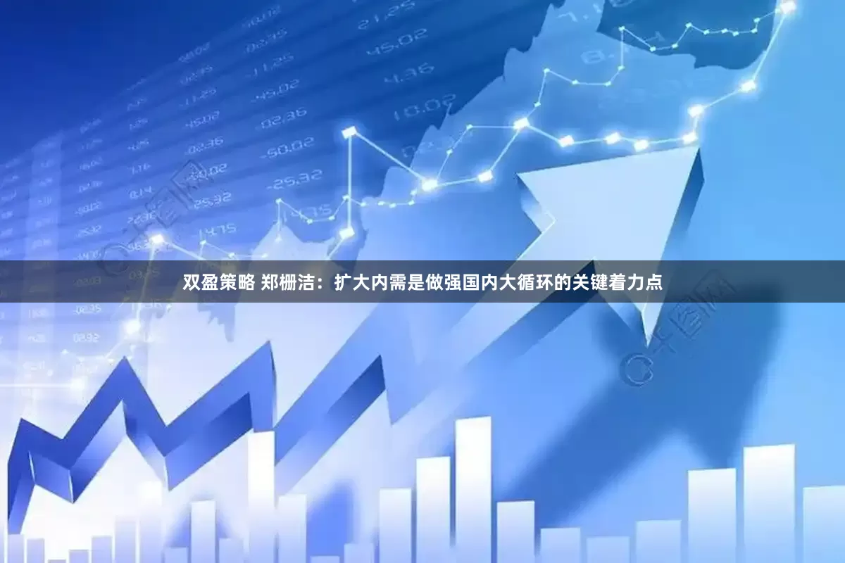 双盈策略 郑栅洁：扩大内需是做强国内大循环的关键着力点
