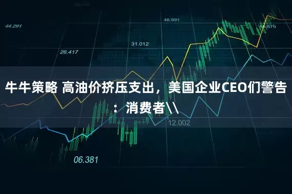 牛牛策略 高油价挤压支出，美国企业CEO们警告：消费者\