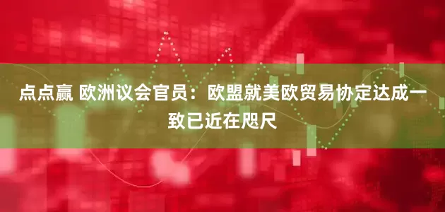 点点赢 欧洲议会官员：欧盟就美欧贸易协定达成一致已近在咫尺